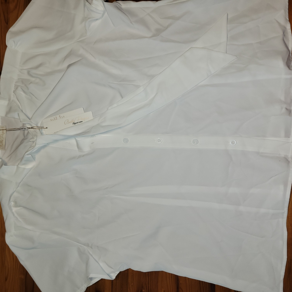 White Blouse Classic Top